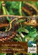 �A�j�}�� �v���l�b�g: �r���[�e�B�[ �I�u �X�l�[�N