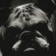 Everything You Know Is Wrong