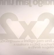 indigo jam unit/2x2 - Two By Two