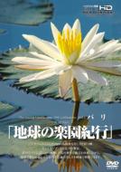 The Living Landscapes Bali