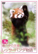 Cherub Of The Mist Return To Eden