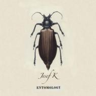 Josef K/Entomology