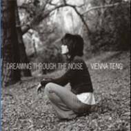 Vienna Teng/Dreaming Through The Noise