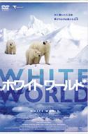 White World