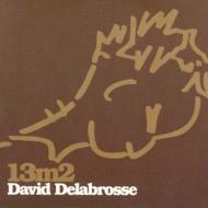 David Delabrosse/13m2
