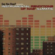 Various/Can You Flow? Instrumental Renditions Of Nas's Illmatic