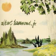 Albert Hammond Jr/Yours To Keep