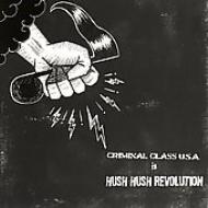 Criminal Class Usa Is