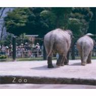 Zoo