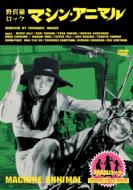 Stray Cats Rock .Machine Animal