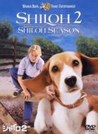 Shiloh 2