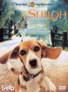Shiloh