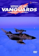 Wings Of Jsdf Japan Self-Defense Forces Vanguards