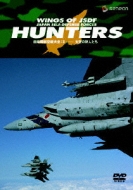 Wings Of Jsdf Japan Self-Defense Forces Hunters