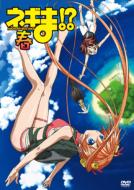 Magister Negi Magi Haru