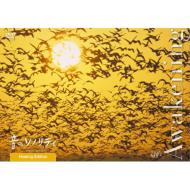 Oto No Sonority Healing Edition Awakening