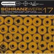 Various/Schranzwerk 17