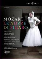 Le Nozze Di Figaro: Marthaler Cambreling / Paris Opera Mattei Regazzo