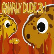 Various/Gnarly Dude 3