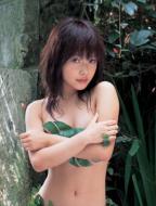 Chiffon -�V�t�H��