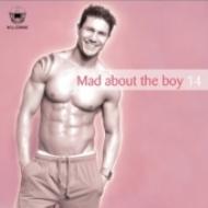 Various/Mad About The Boy 14