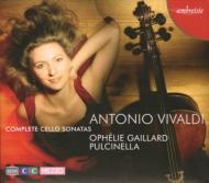 �`�F���E�\�i�^�W�@�K�C���[���ivc�j�v���`�l�b���i�QCD�{�o�`�k�|�c�u�c�j