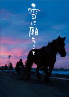 Yuki Ni Negaukoto Premium Edition