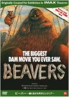 Beavers