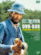 Taiyo Ni Hoero! 1977-1 Dvd-Box Rocky Keiji Tojo!