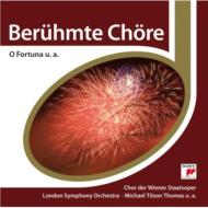 Favourites Choruses: V / A