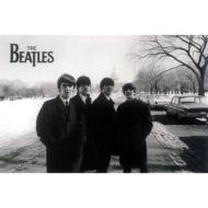 �r�[�g���Y