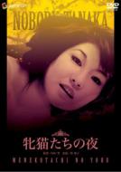 Mesu Neko Tachi No Yoru