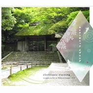 Electronic Evening: Ryoondo-tea Live At Honen-in Temple