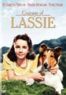 Courage Of Lassie