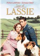 Son Of Lassie
