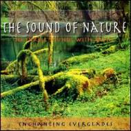 New Age / Healing Music/Sounds Of Nature Enchanting Everglades