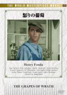 �{��̕���