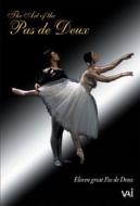 �w�p�E�h�E�h�D�̌|�p�x�@�k���G�t�A�v���Z�c�J��