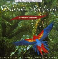 Various/Sounds Of Earth Birds In Rainforest