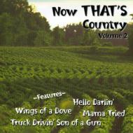Various/Now That's Country 2