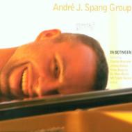 Andre J Spang/In Between