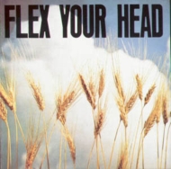Various/Flex Your Head