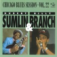 Various/Chicago Blues Sessions 22