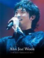 DVD－BOX '07 アン・ジェウク日