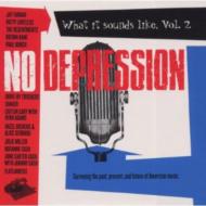 Various/No Depression： What It Soundslike： Vol.2