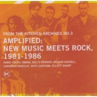 Sonic Youth / Bill Swans / Arthur Russell/Kitchen Archives 3 Amplifiednew Music Meets Rock