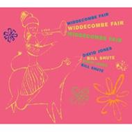 Widdecombe Fair