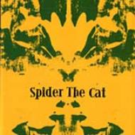 Spider The Cat/Spider The Cat