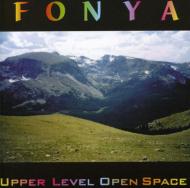 Fonya/Upper Level Open Space