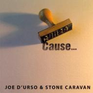 Joe D'urso ＆ Stone Caravan/Cause